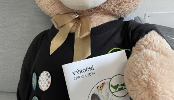 Zveřejnili jsme Výroční zprávu za rok 2024